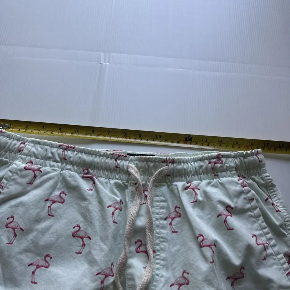 Massive Apparel Men’s Flamingo Print Shorts Size L Mint Green Drawstring Casual
